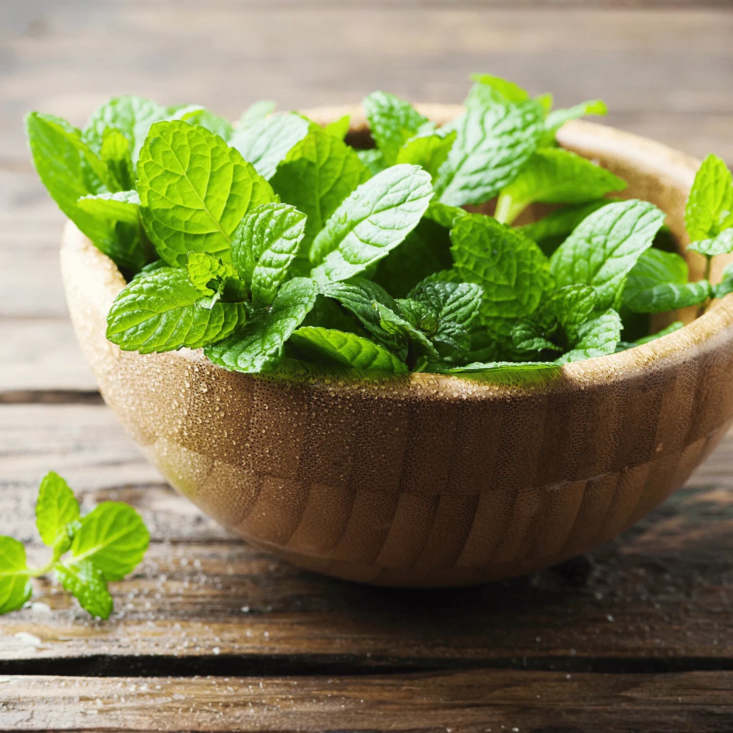 Mint – 100 Seeds