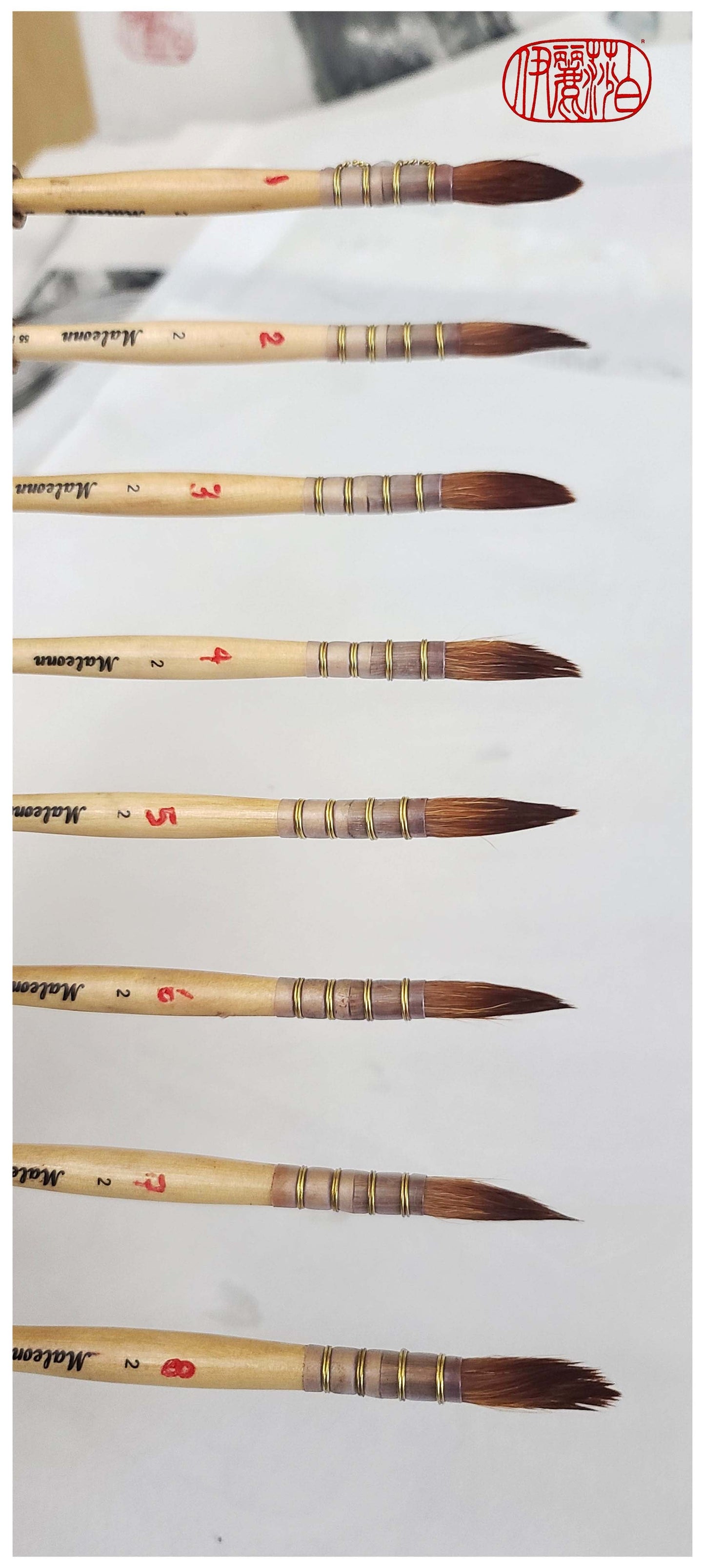 Multi-Brush Holder Tool With 8 Individual Brushes