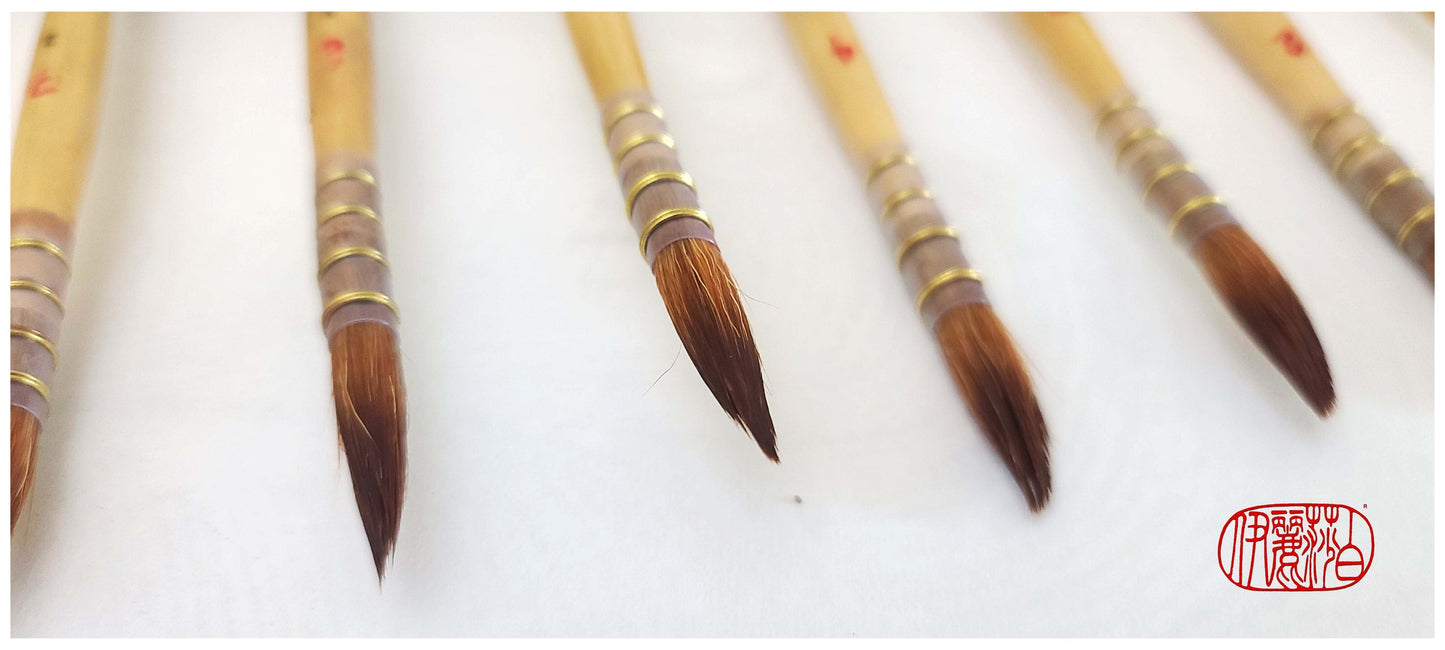 Multi-Brush Holder Tool With 8 Individual Brushes