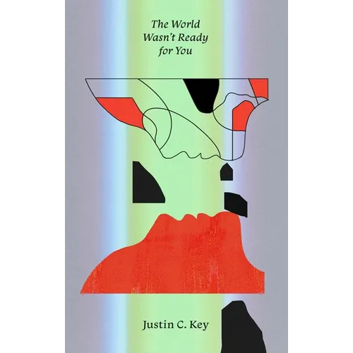 The World Wasn't Ready for You: Stories