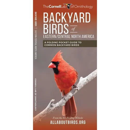 Backyard Birds of Eastern/Central North America: A Folding Pocket Guide to Common Backyard Birds