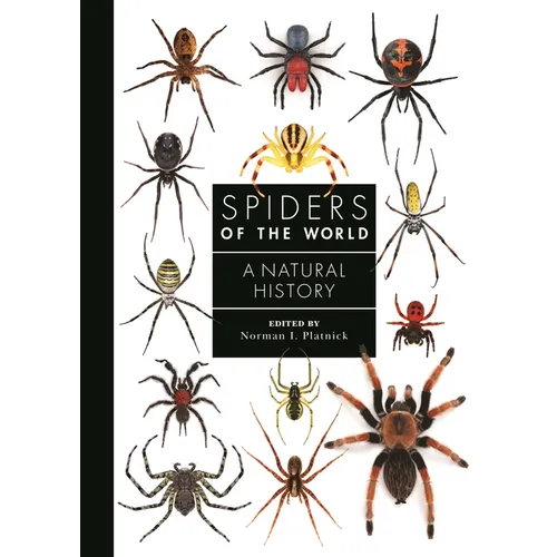 Spiders of the World: A Natural History
