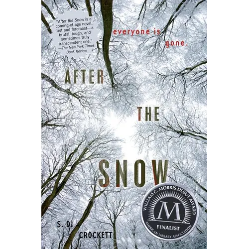 After the Snow