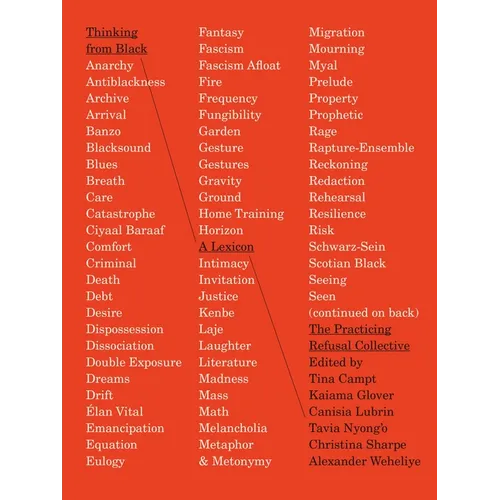 Thinking from Black: A Lexicon