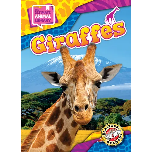 Giraffes