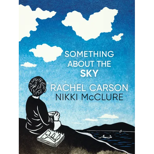 Something about the Sky