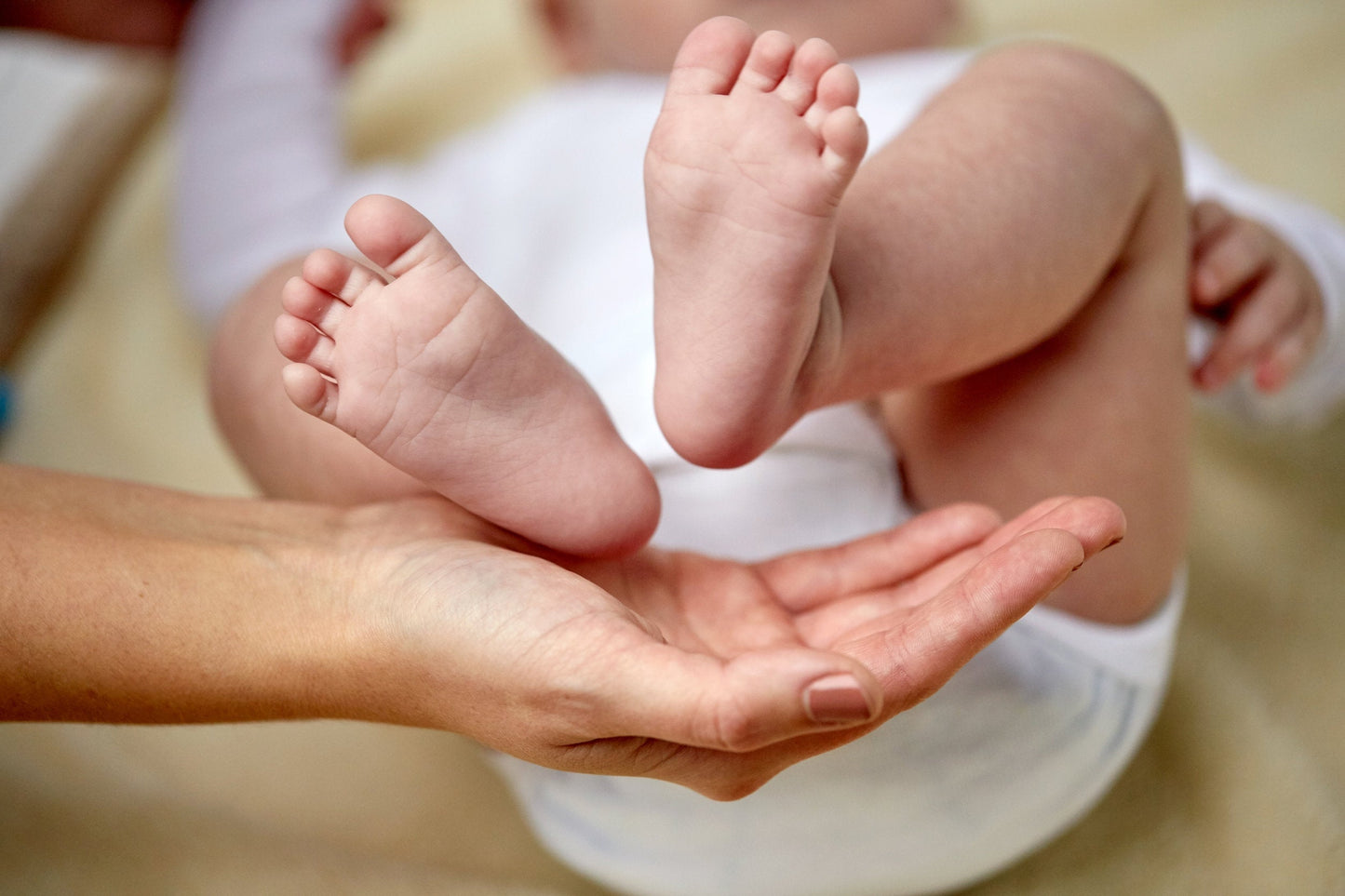 Oh Baby Oh! " What a bum!" Organic Diaper Balm -/Chafing/Cracked Skin- to help soothe any bottom (including adults)