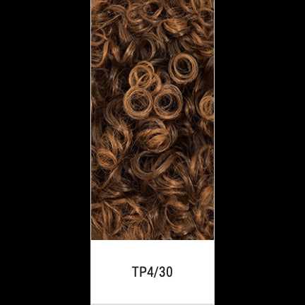 Femi Collection Afro Wig