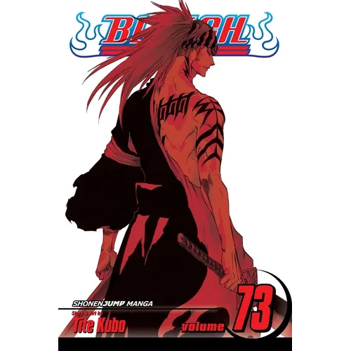 Bleach, Vol. 73: Battlefield Burning