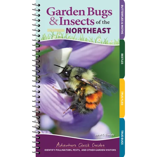 Garden Bugs & Insects of the Northeast: Identify Pollinators, Pests, and Other Garden Visitors