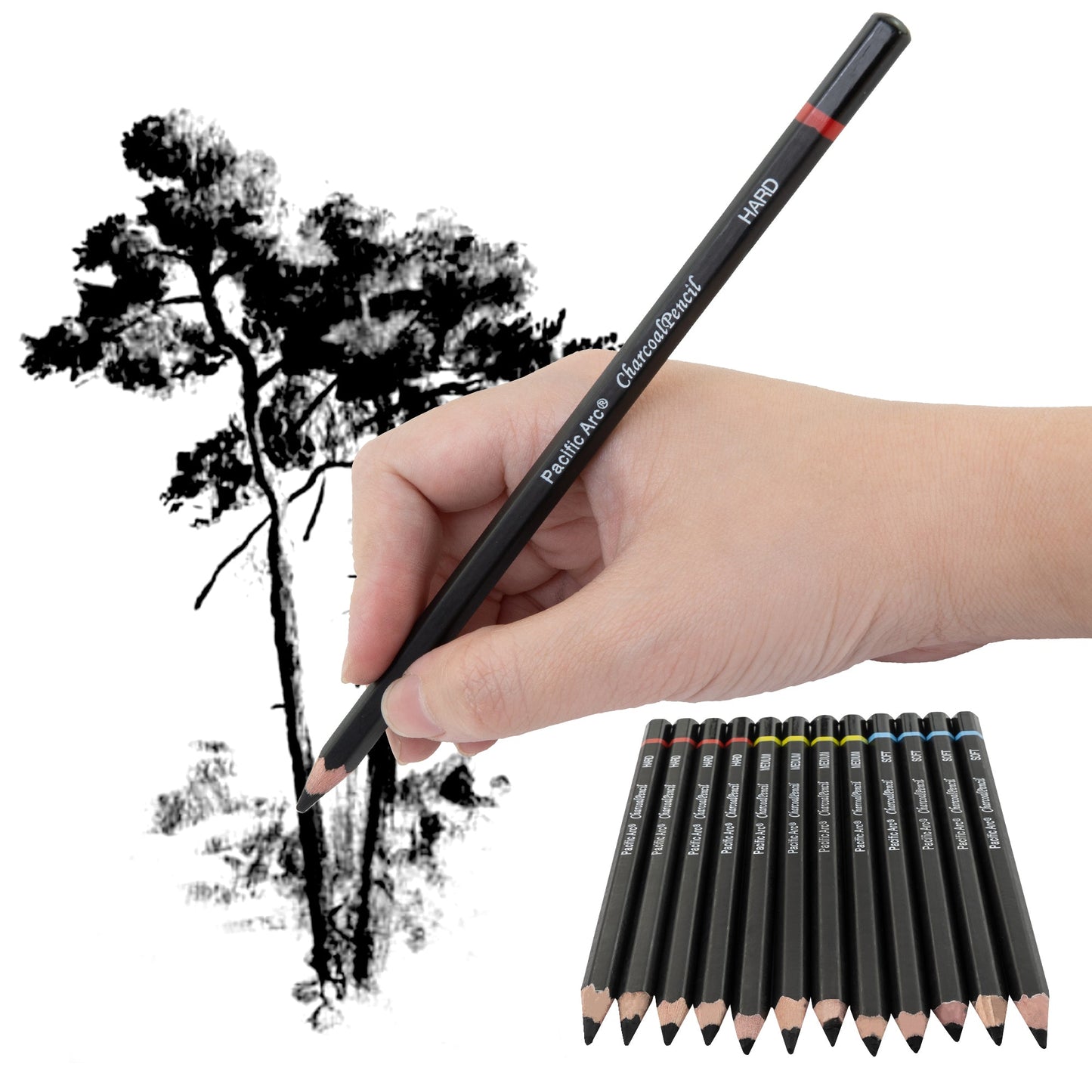 Premium Charcoal Drawing Pencils for Artists - 6 Pieces Soft Medium and Hard - Charcoal Pencils for Drawing, Sketching and Shading - Great Non Toxic Art Supplies Set for Adults and Kids - Pacific Arc - Little Red General Store