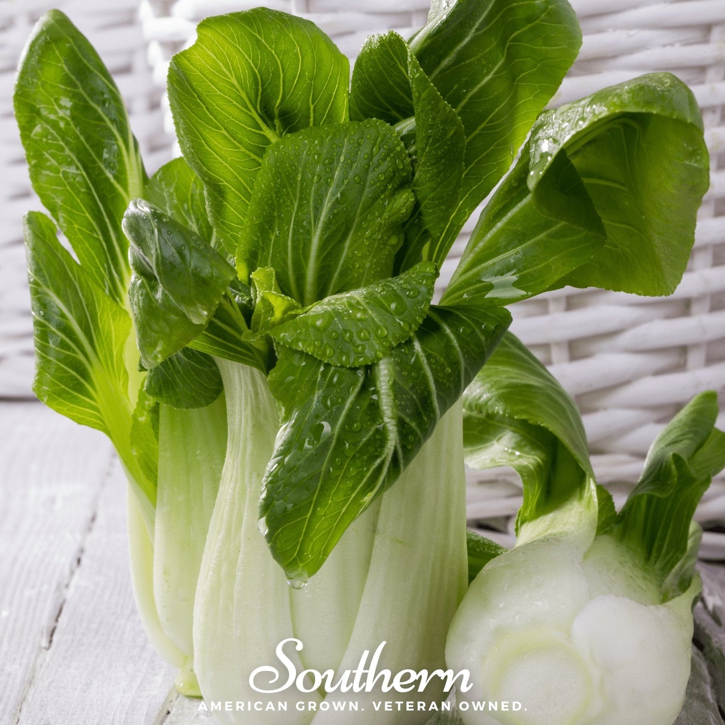 Canton Pak Choi – 200 Seeds