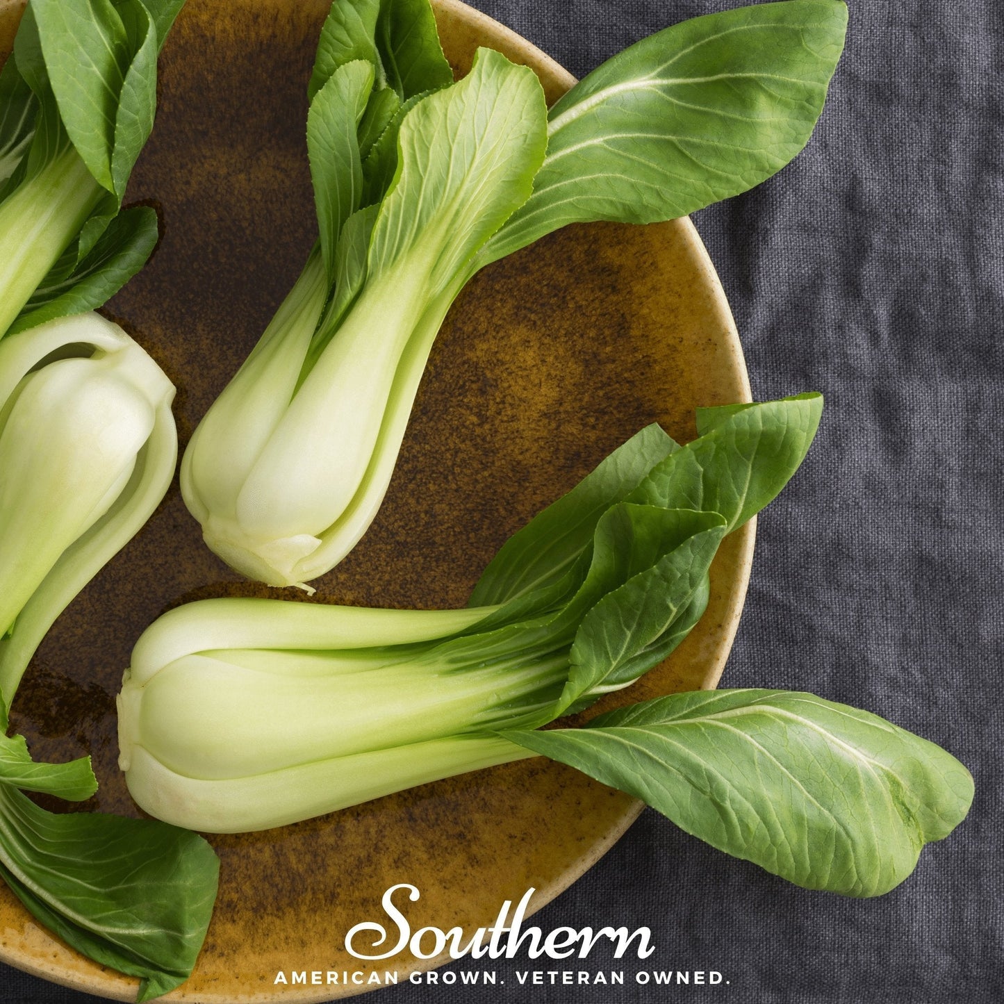 Canton Pak Choi – 200 Seeds