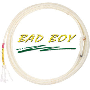 BAD BOY HEEL #2 HARD 36'