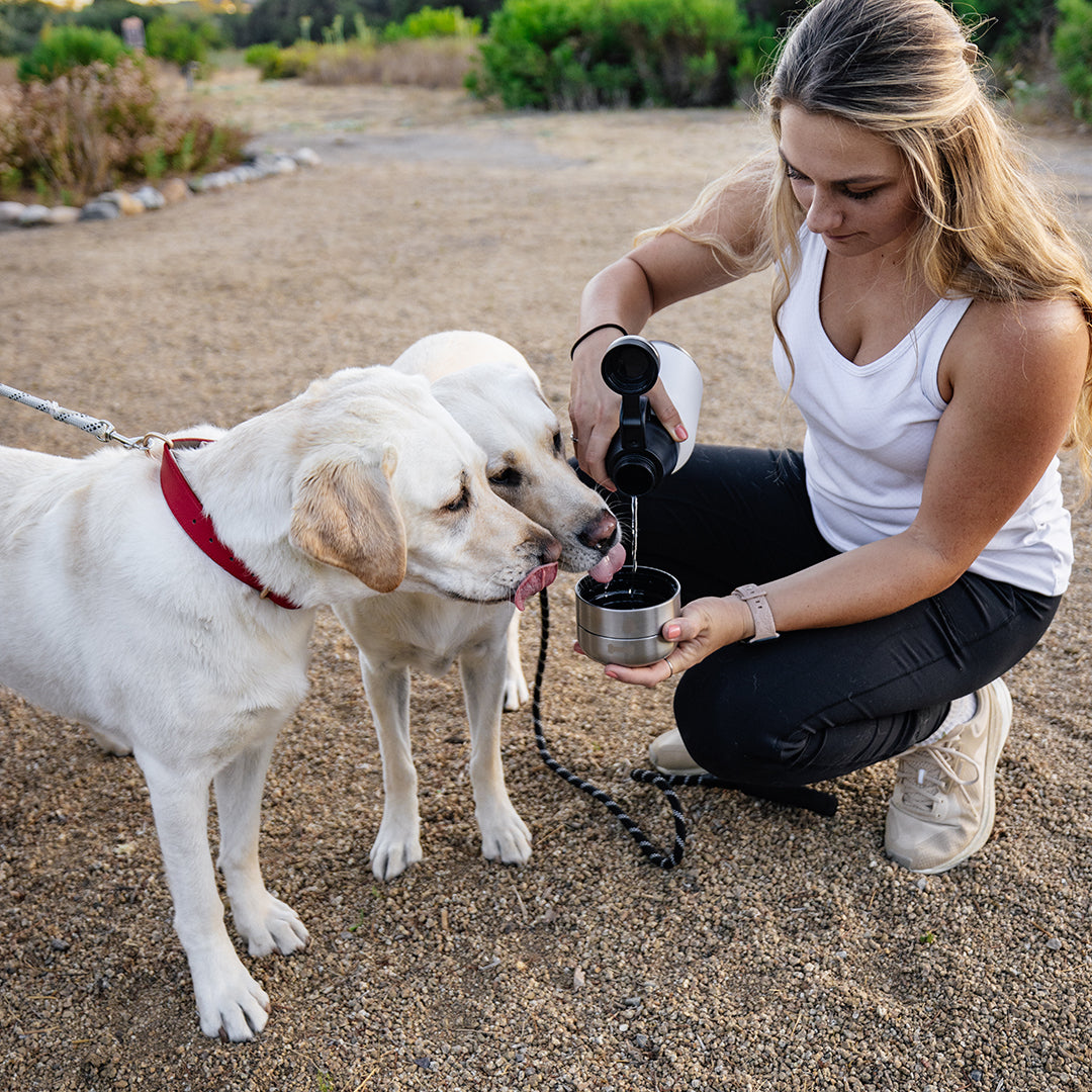 HydroPet Dog Water Bottle 32 oz or 64 oz Stainless Steel Flask with Dual Dog Bowls, BPA - Free, Includes Strap, Travel & Road Trip Essential - Pet Vet Products - Little Red General Store