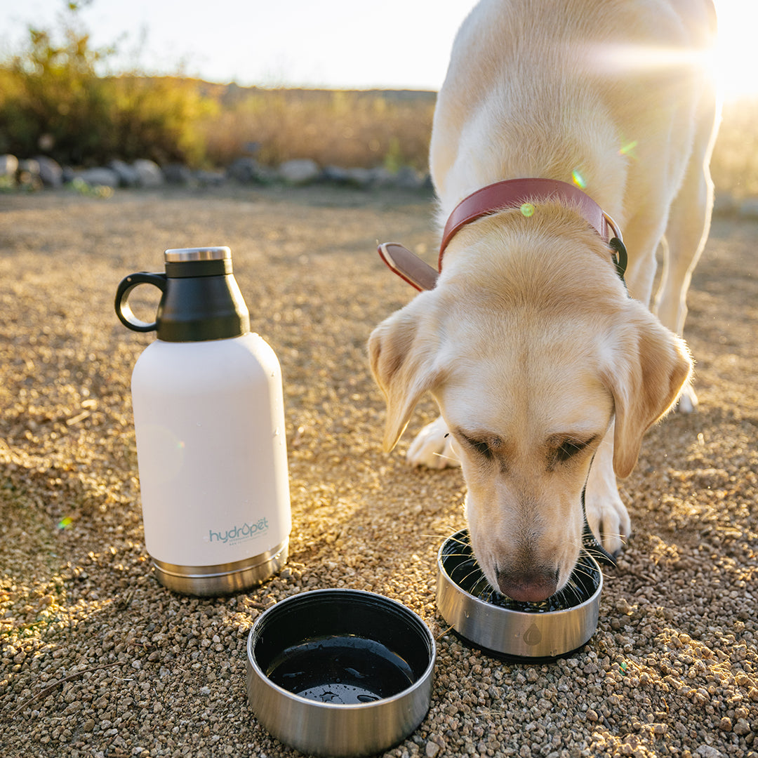 HydroPet Dog Water Bottle 32 oz or 64 oz Stainless Steel Flask with Dual Dog Bowls, BPA - Free, Includes Strap, Travel & Road Trip Essential - Pet Vet Products - Little Red General Store