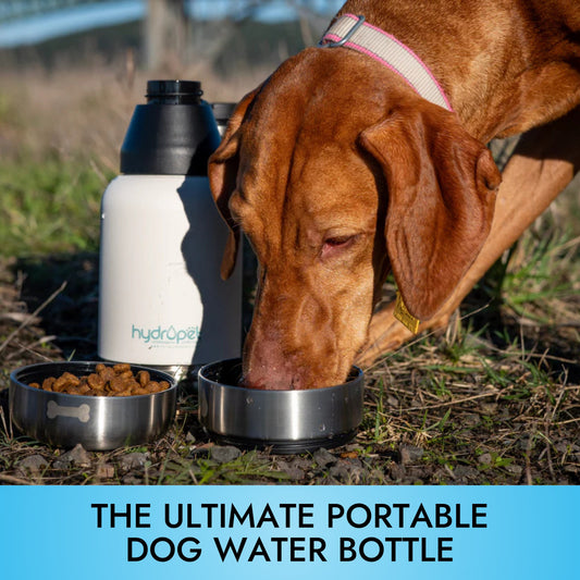 HydroPet Dog Water Bottle 32 oz or 64 oz Stainless Steel Flask with Dual Dog Bowls, BPA - Free, Includes Strap, Travel & Road Trip Essential - Pet Vet Products - Little Red General Store