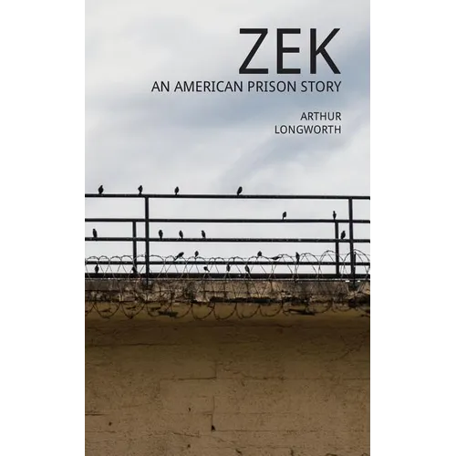 Zek: An American Prison Story