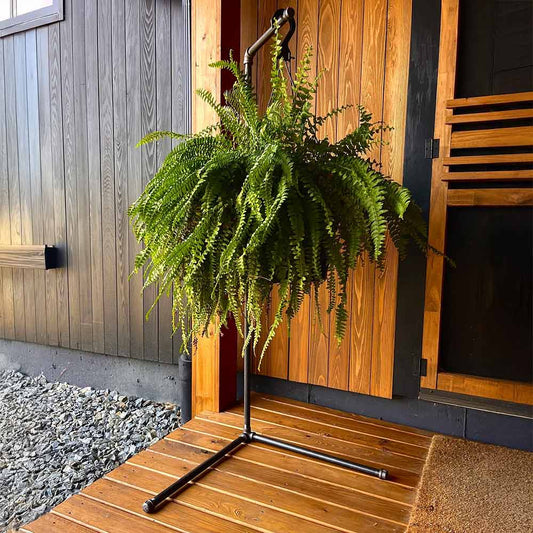 Industrial Plant Stand – Handcrafted Steel Pipe Display for Home or Store