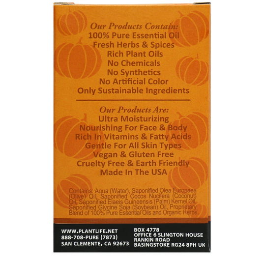 Pumpkin Spice Travel Size Bar Soap - Plantlife - Little Red General Store