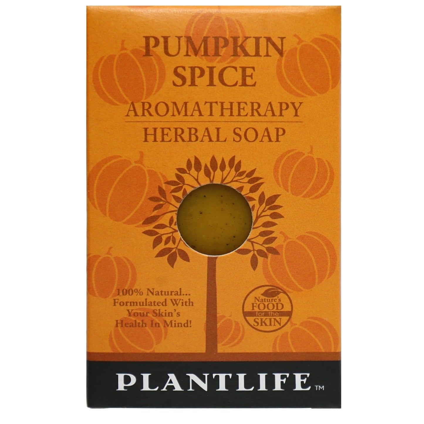 Pumpkin Spice Travel Size Bar Soap - Plantlife - Little Red General Store
