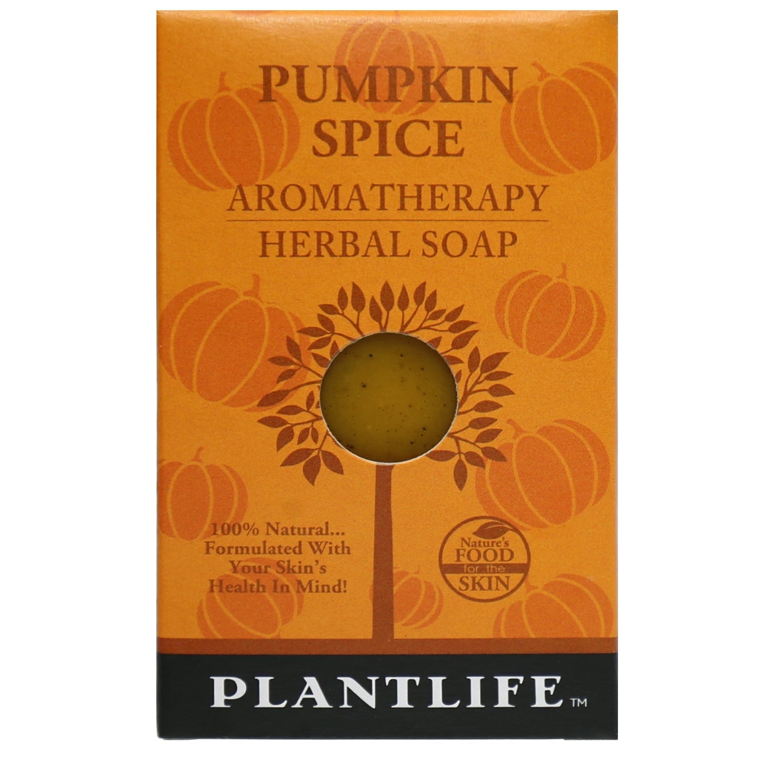 Pumpkin Spice Travel Size Bar Soap - Plantlife - Little Red General Store