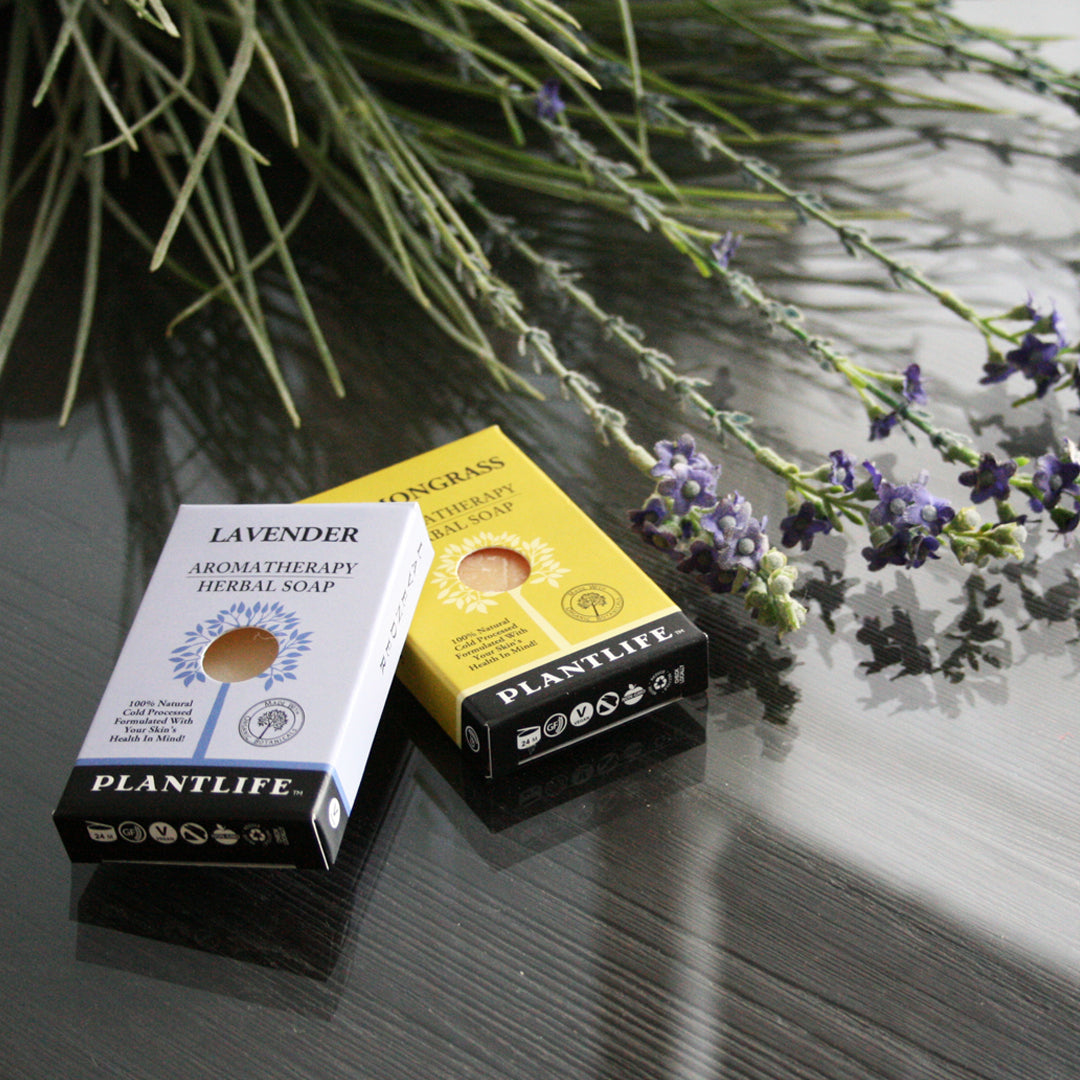 Soap Sampler Gift Set - Plantlife - Little Red General Store