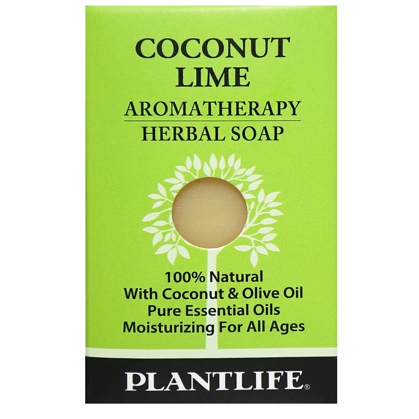 Coconut Lime Travel Size Bar Soap - Plantlife - Little Red General Store