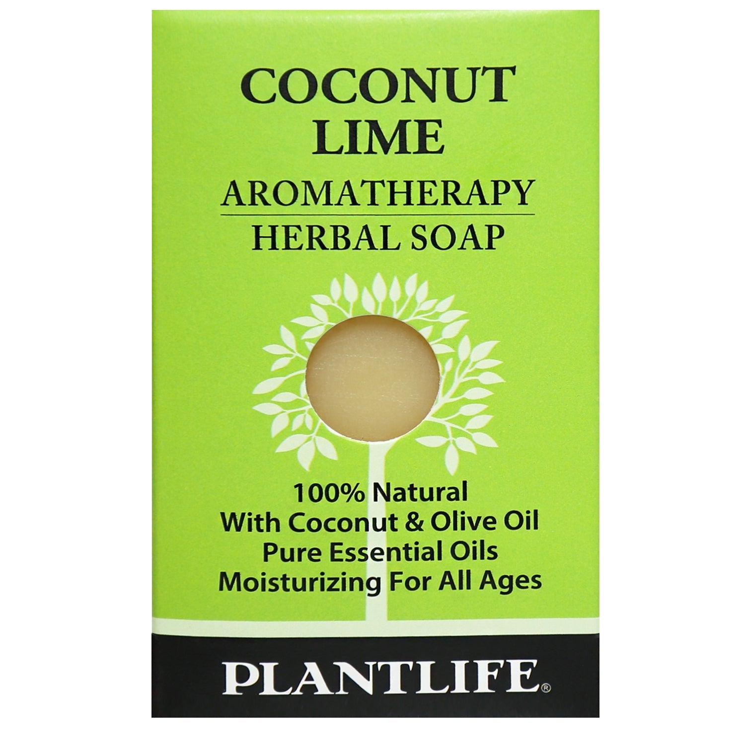 Coconut Lime Travel Size Bar Soap - Plantlife - Little Red General Store