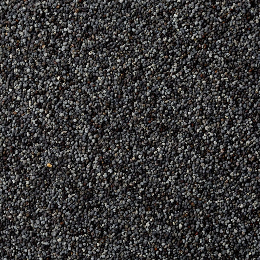 Poppy Seeds