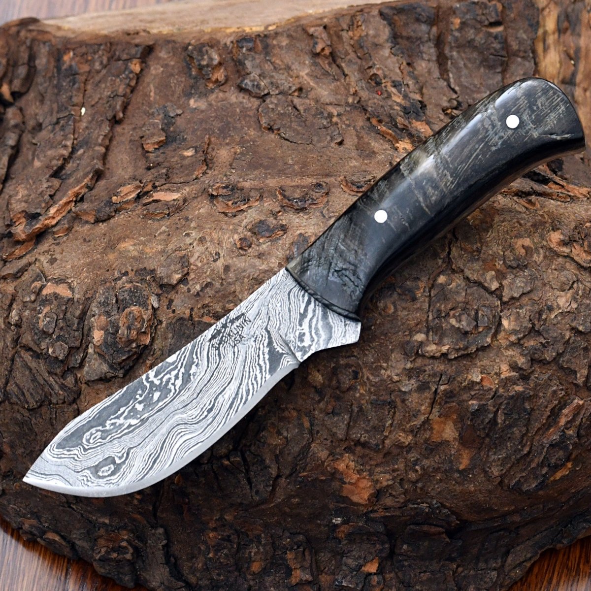 Pulse Compact Knife with Ram Horn Handle
