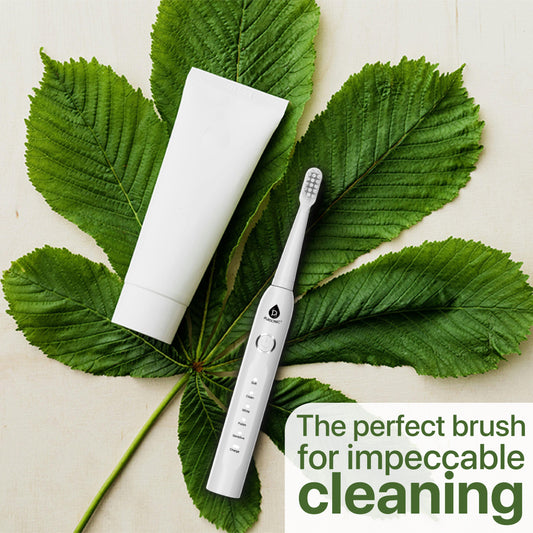 USB Rechargeable Electric Toothbrush with 12 Brush Heads - Pursonic - Little Red General Store