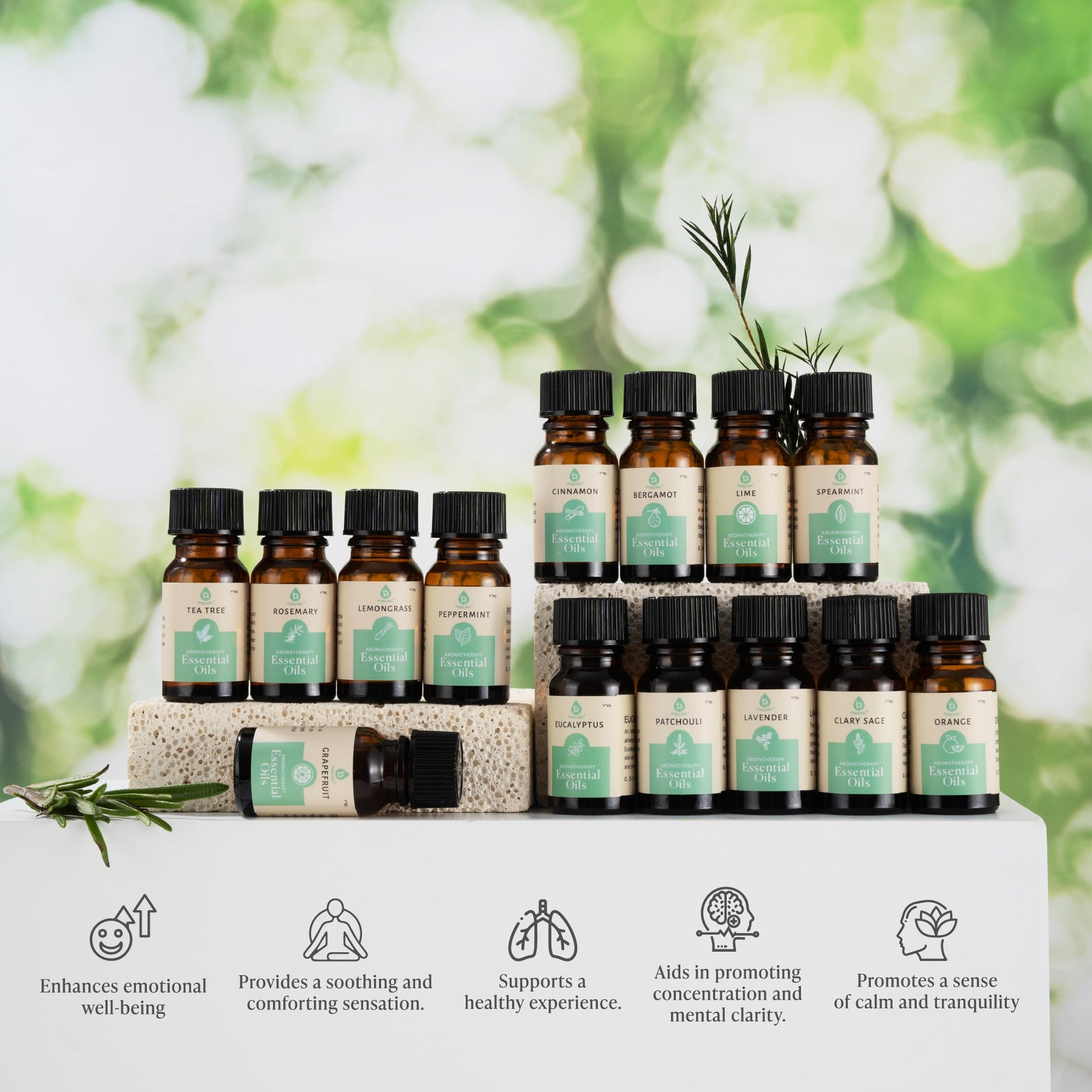 Seasonal Scents Christmas Essential Oils Collection - Pursonic - Little Red General Store