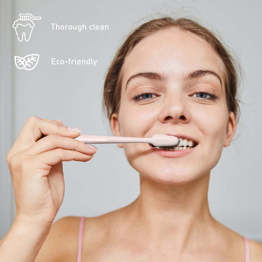 Natural Radiance Combo: Activated Coconut Charcoal Powder Natural Teeth Whitener + 100% Eco - friendly Cedarwood Toothbrushes (6 Pack) - Pursonic - Little Red General Store