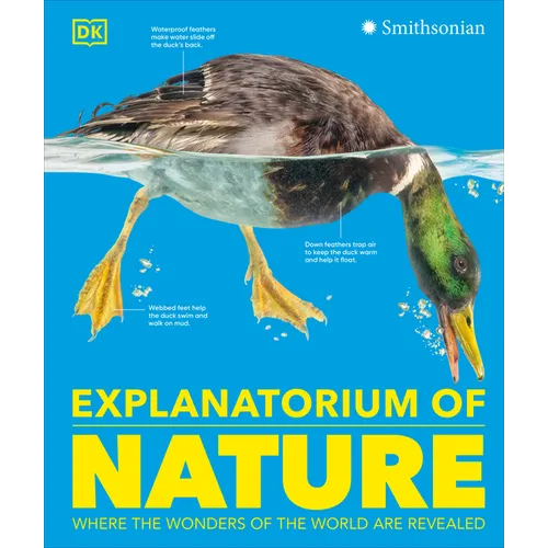 Explanatorium of Nature: Where the Wonders of the World Are Revealed