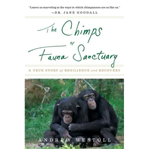 The Chimps of Fauna Sanctuary: A True Story of Resilience and Recovery