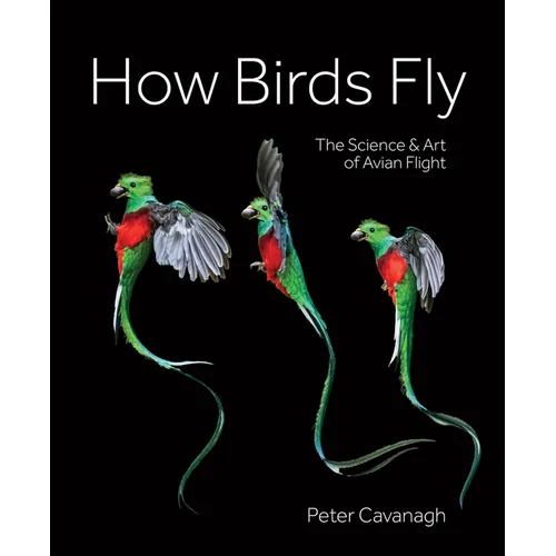 How Birds Fly: The Science and Art of Avian Flight