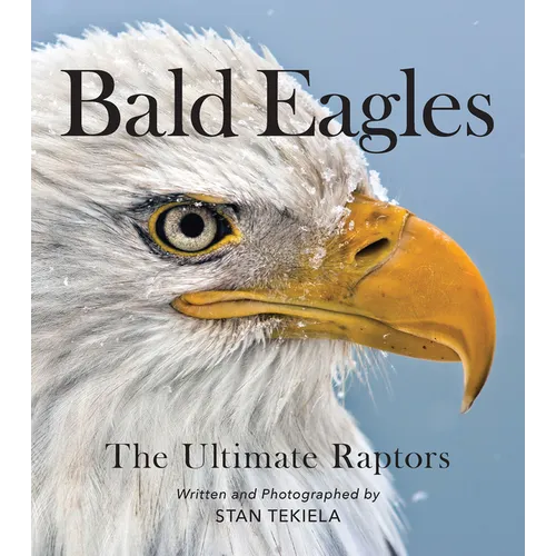 Bald Eagles: The Ultimate Raptors