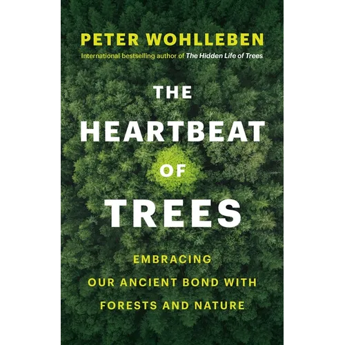 The Heartbeat of Trees: Embracing Our Ancient Bond with Forests and Nature