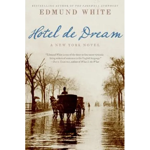 Hotel de Dream: A New York Novel