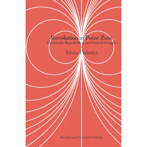 Revolution at Point Zero: Housework, Reproduction, and Feminist Struggle