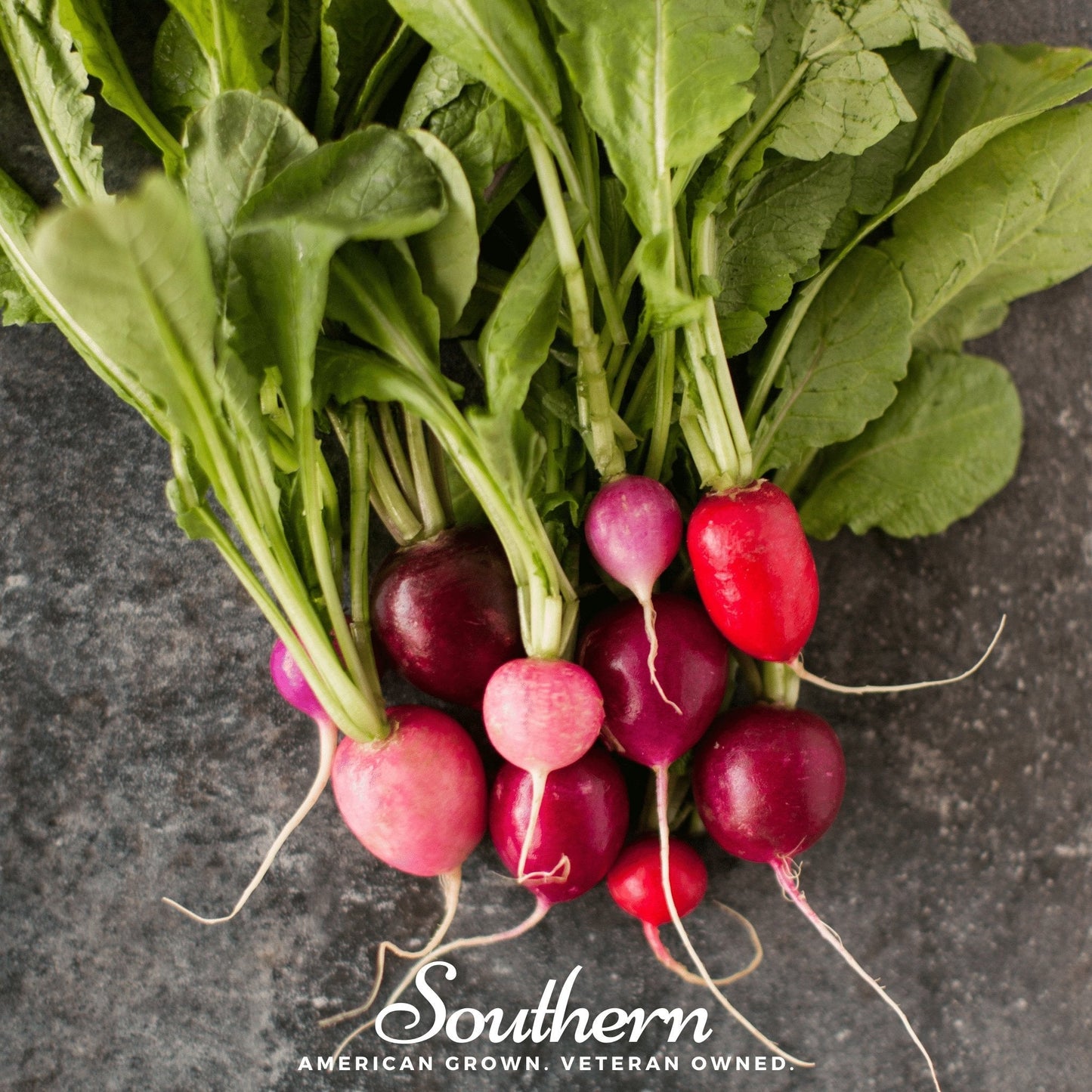 Easter Egg Radish – 250 Seeds