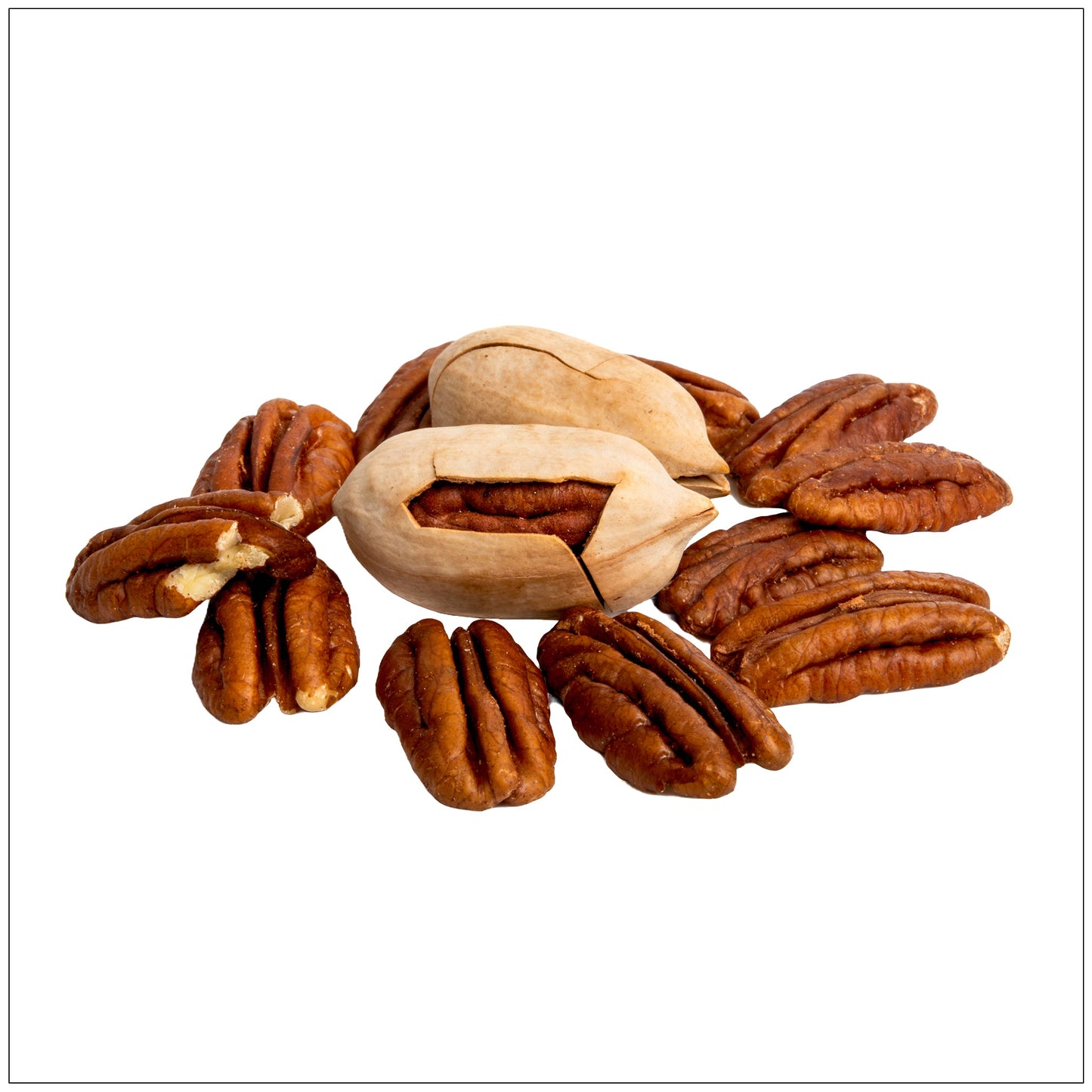 Raw Pecans