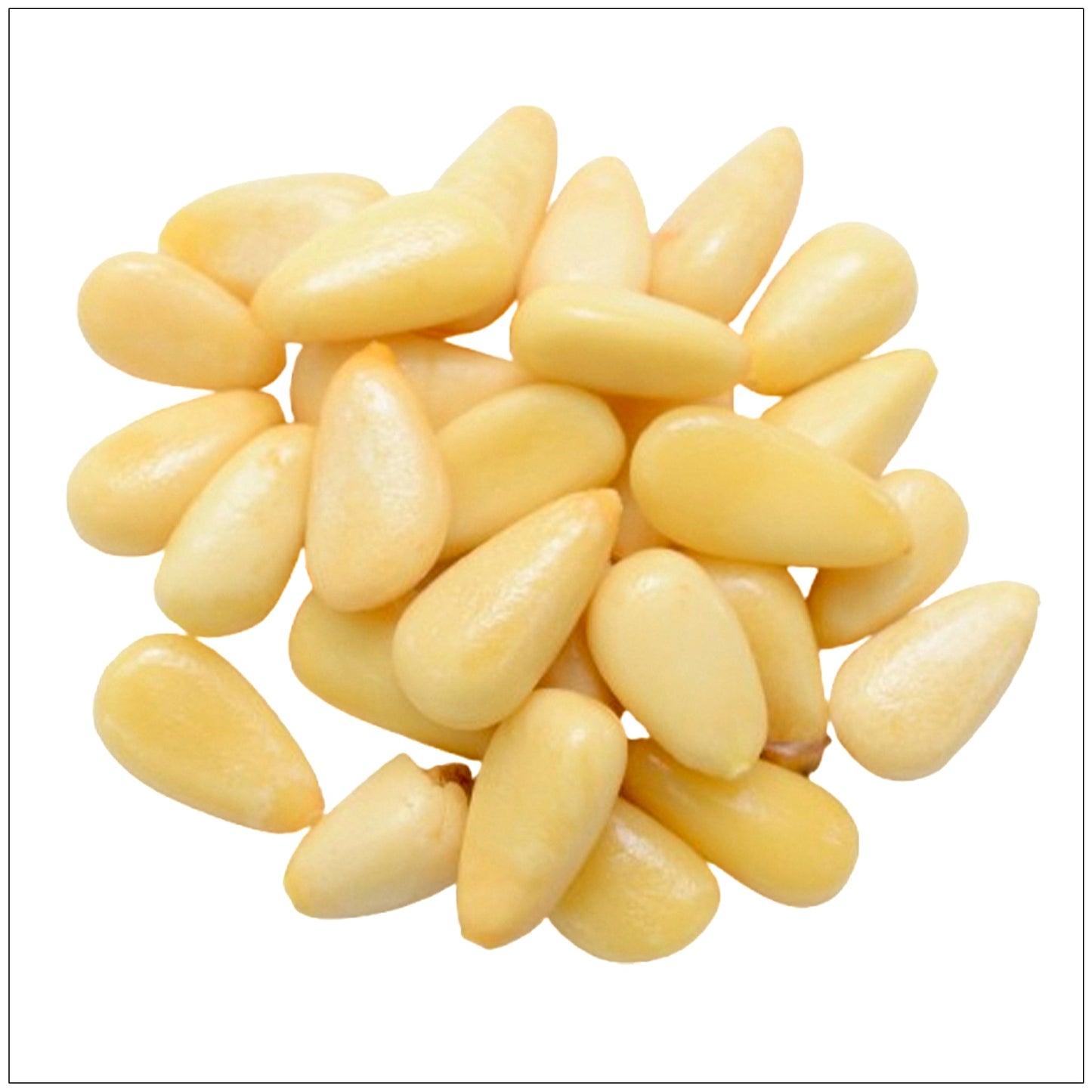 Raw Pine Nuts