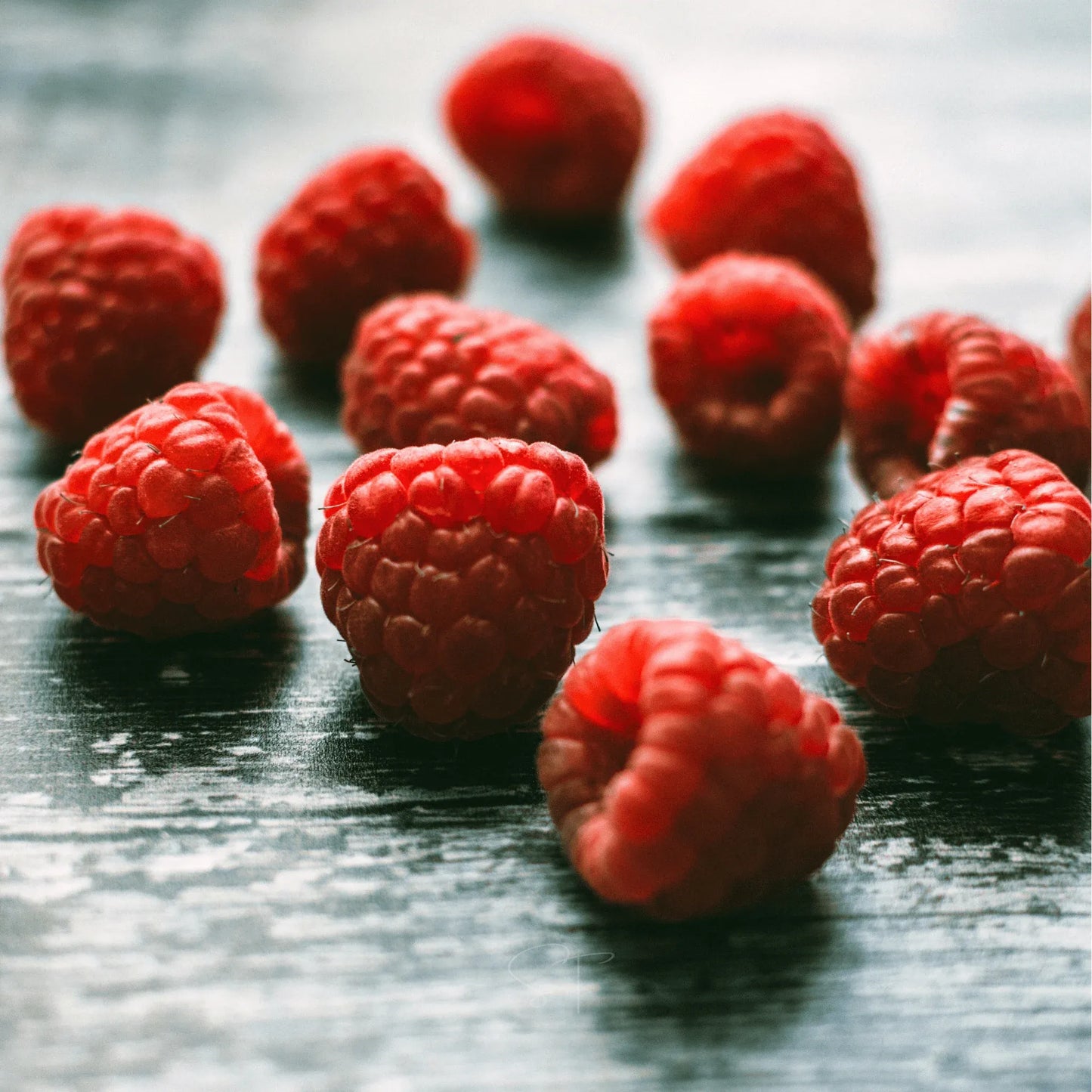 Red European Raspberry – 30 Seeds