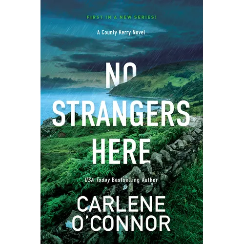 No Strangers Here: A Riveting Irish Thriller