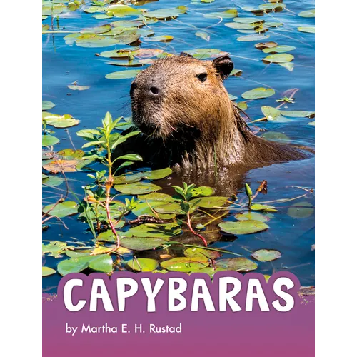 Capybaras