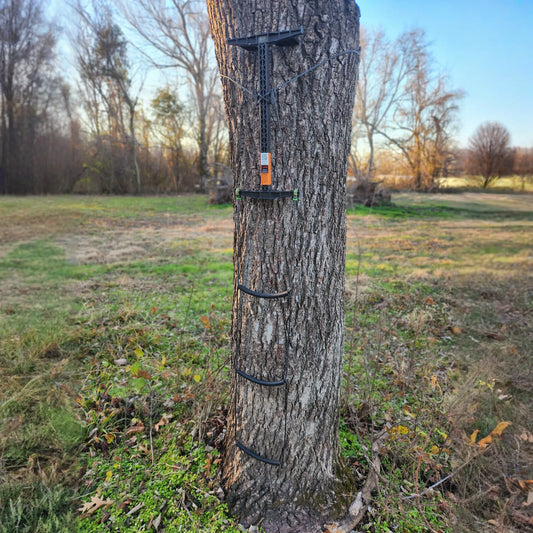 Latitude SS Stick AmSteel® Aider
