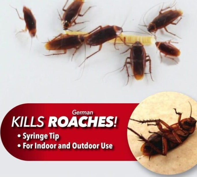 Safe Cockroach Killing Bait for Effective Control