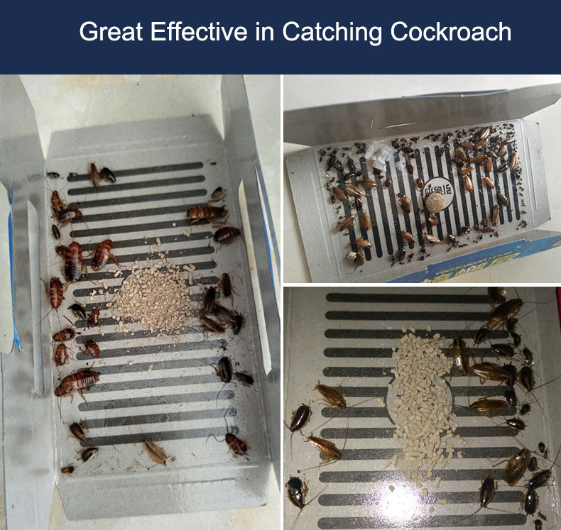 Roach Motel 10 Pack - Effective Cockroach Killer
